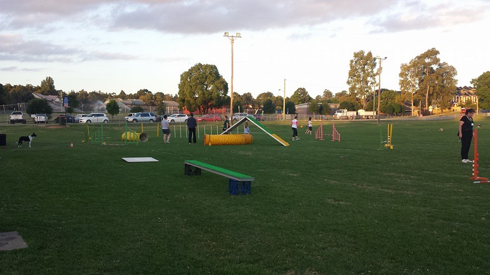 PICSI members setting up an agility course