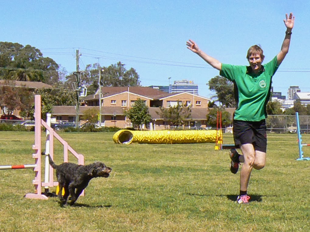 PICSI member and dog running agility course